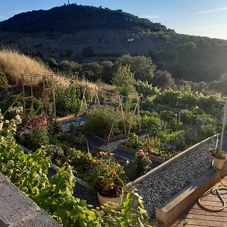 Les Collines Du Sabor Homestay