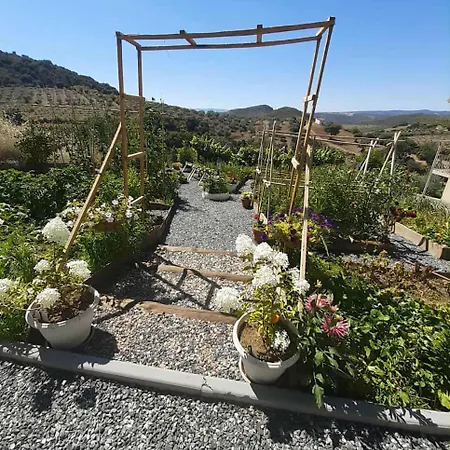 Homestay Les Collines Du Sabor Mogadouro (Braganca)