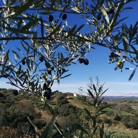 Les Collines Du Sabor * מוגאדורו